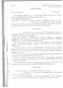 Мировое соглашение с Застройщиком ООО «Жилищная основа» на сумму 87 500 руб. 0
